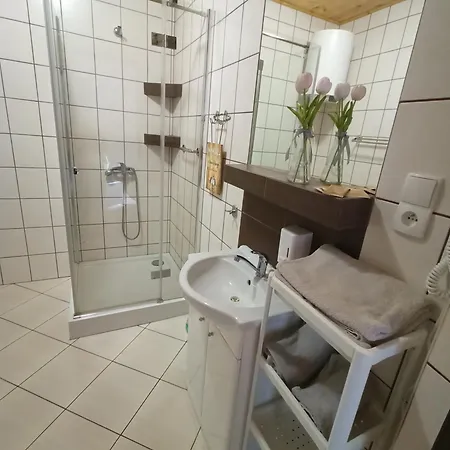 Деревянный коттедж Letniskowe Cztery Pory Roku